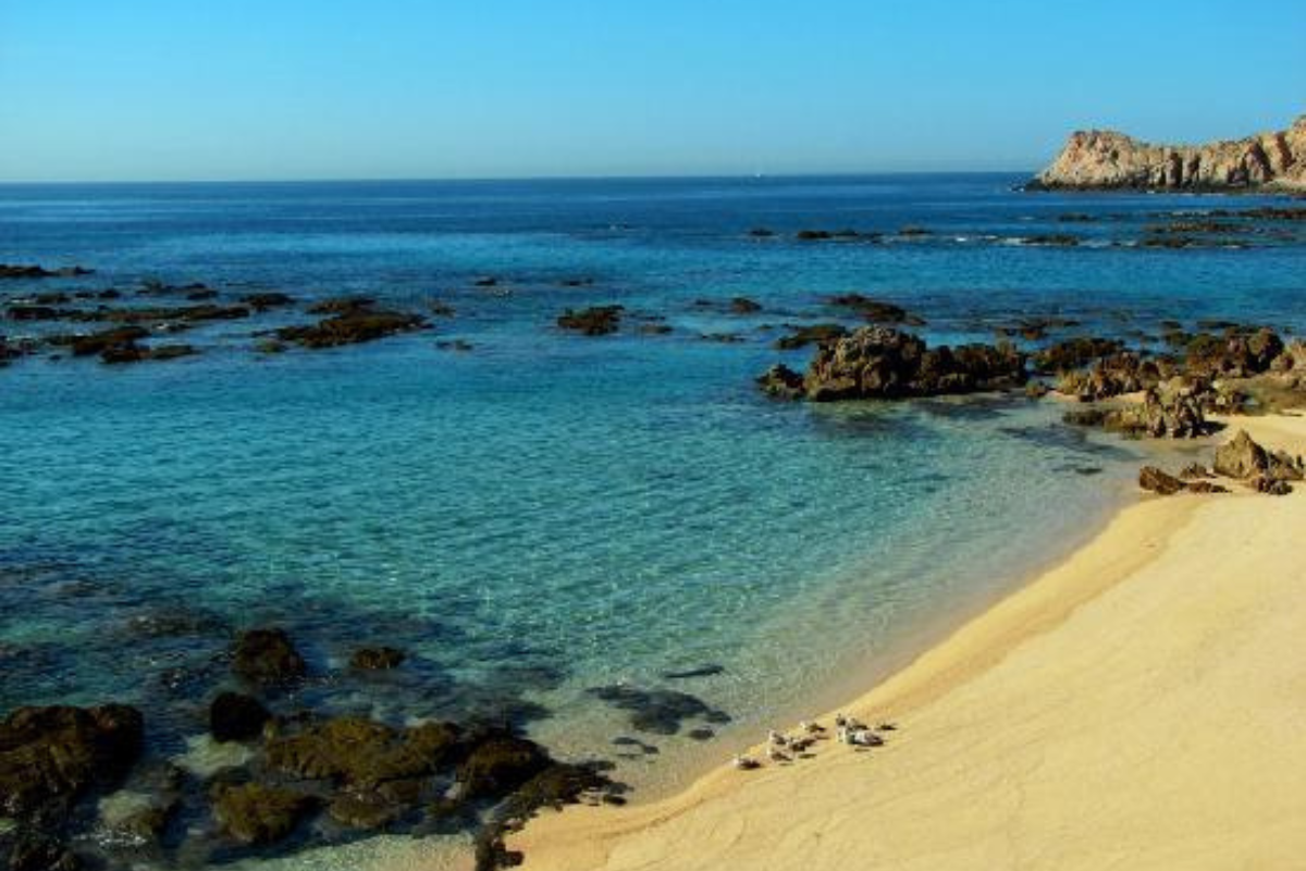 Playa El Chileno. Foto: @VisitaLosCabos / X