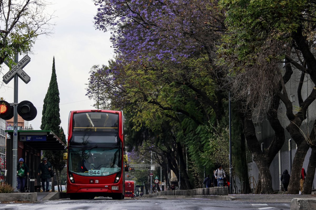 Metrobús de la Línea 7 en la CDMX.     Foto: X (@MetrobusCDMX)