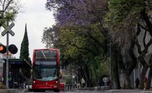 8M en CDMX: estas son las estaciones del Metrobús que cerrarán por la marcha