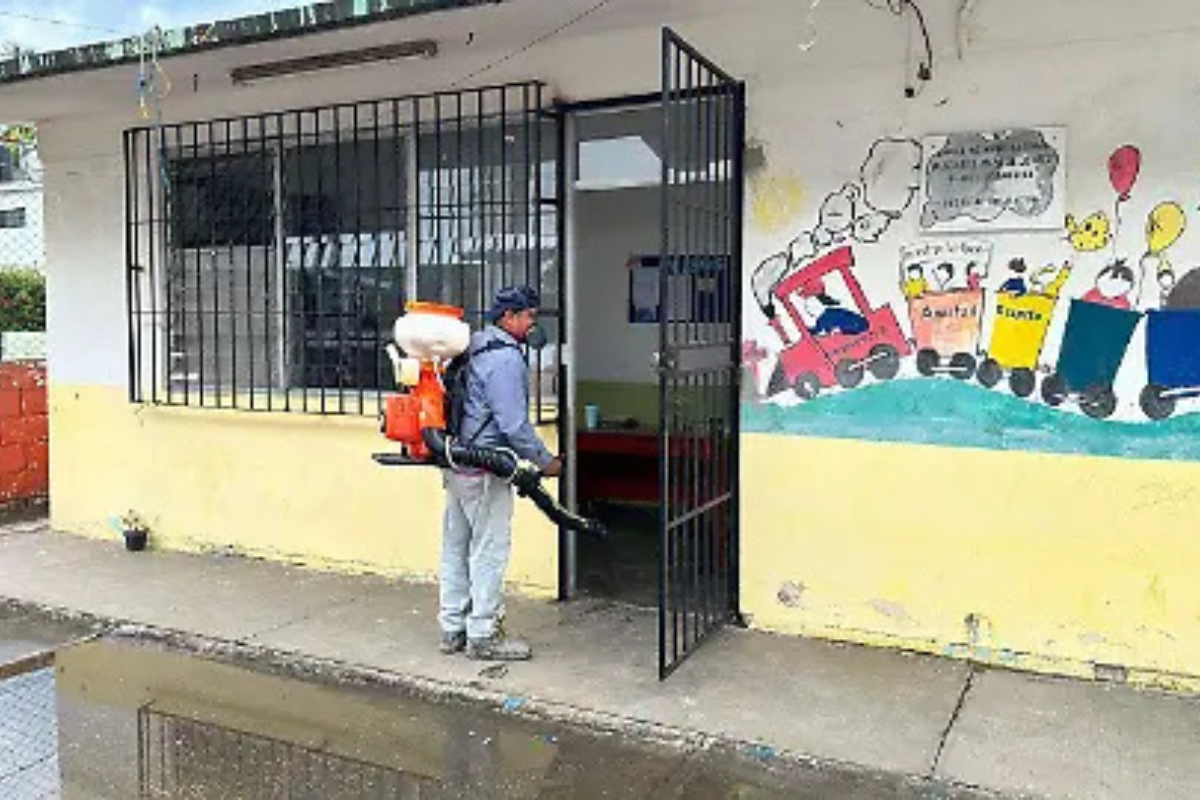 Piden se fumigue cotra el zancudo del dengue en zonas escolares. Foto: Redes Sociales