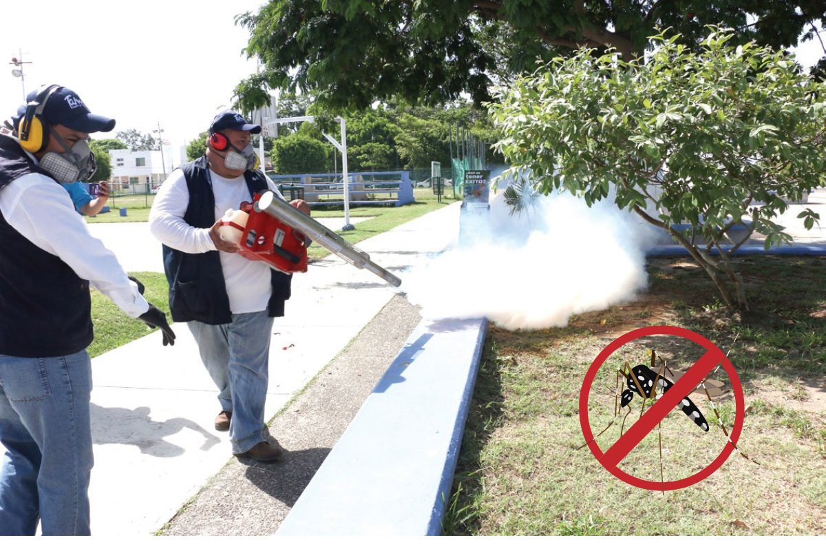 Piden se fummigue en zonas escolares contra el zancudo del dengue. Foto: Posta Tamaulipas