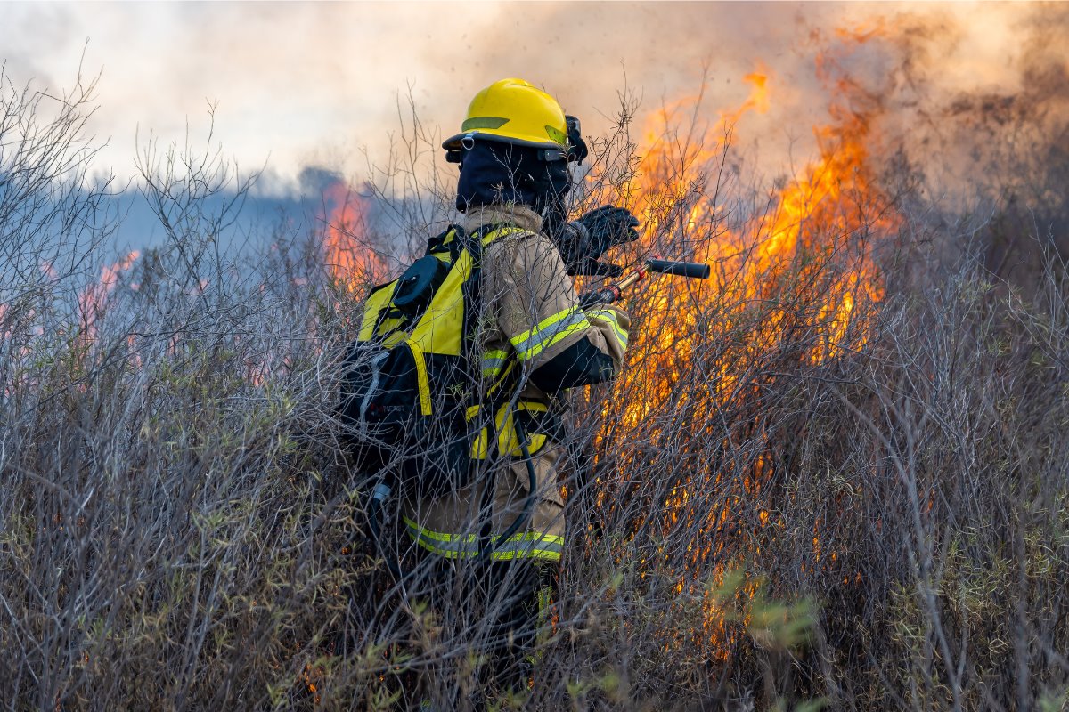 La quema ilegal de pastizales y terrenos baldíos se ha identificado como una de las principales causas detrás de los incendios en Saltillo./Foto: Canva