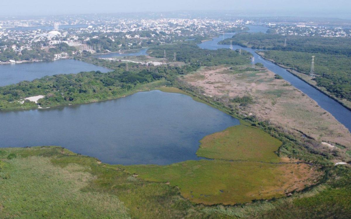 Sistema lagunario del Río Tamesí. Foto: Redes Sociales