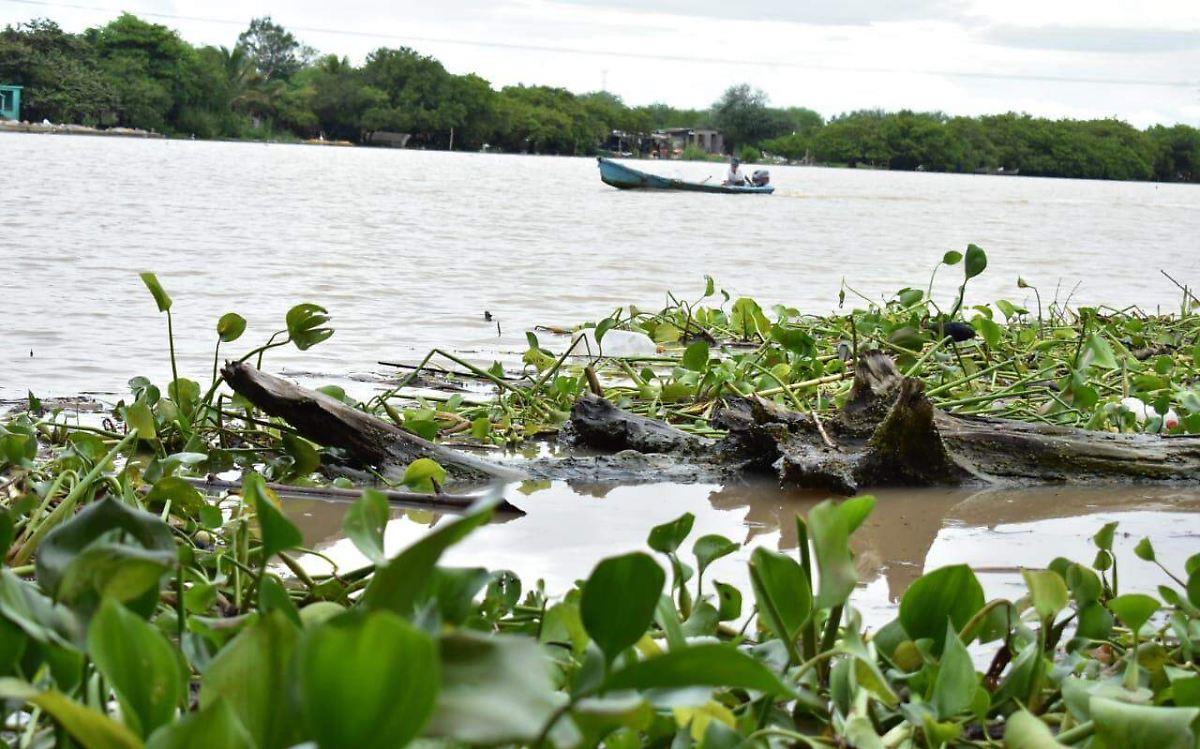 Sistema lagunario del Río Tamesí. Foto: Redes Sociales