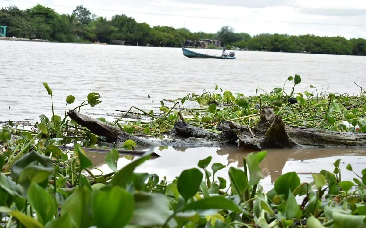Sistema lagunario del Río Tamesí. Foto: Redes Sociales