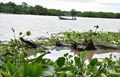 Empresas y ciudadanos blindan a Tampico contra la sequía