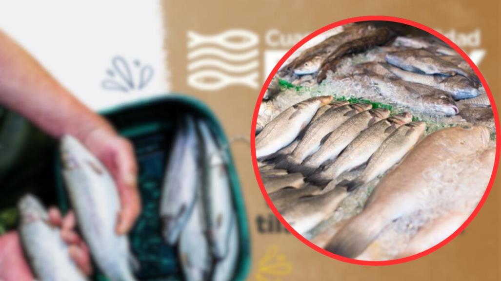 Edomex alista 4 mil 500 toneladas de pescado para satisfacer la demanda en Cuaresma