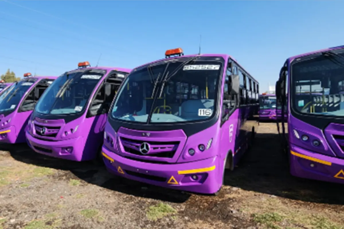 Transporte del Zonal en Xochimilco. Foto: @TransporteInfo | Canva