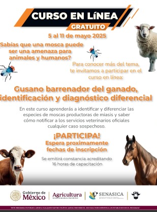 Curso acerca del Gusano barrenador del ganado 