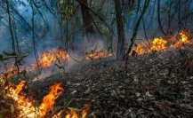 Se combate el segundo incendio forestal de la temporada en Tamaulipas