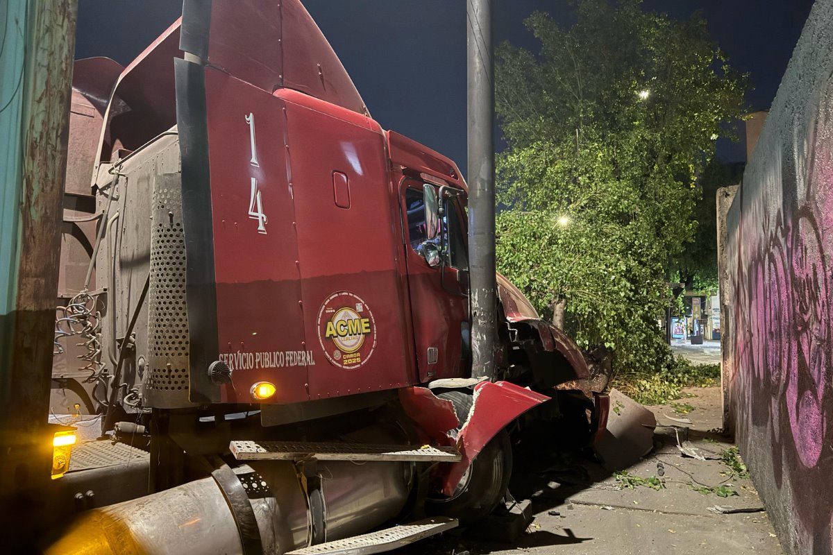 Tráiler que chocó contra un árbol y lo derribo en Circuito Interior de CDMX.     Foto: Ramón Ramírez