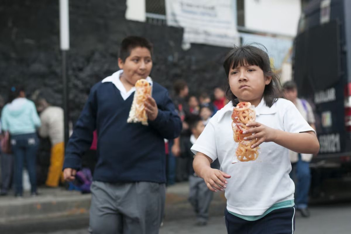 La comida chatarra será prohibida en todas las escuelas de México por disposición oficial. Foto: Axel Hassel