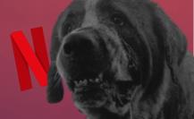 Netflix da luz verde a nueva versión de Cujo, la novela de Stephen King