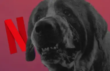 Netflix da luz verde a nueva versión de Cujo, la novela de Stephen King