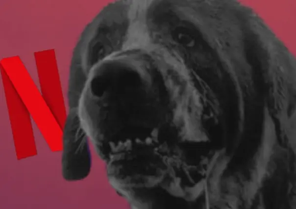 Netflix da luz verde a nueva versión de Cujo, la novela de Stephen King