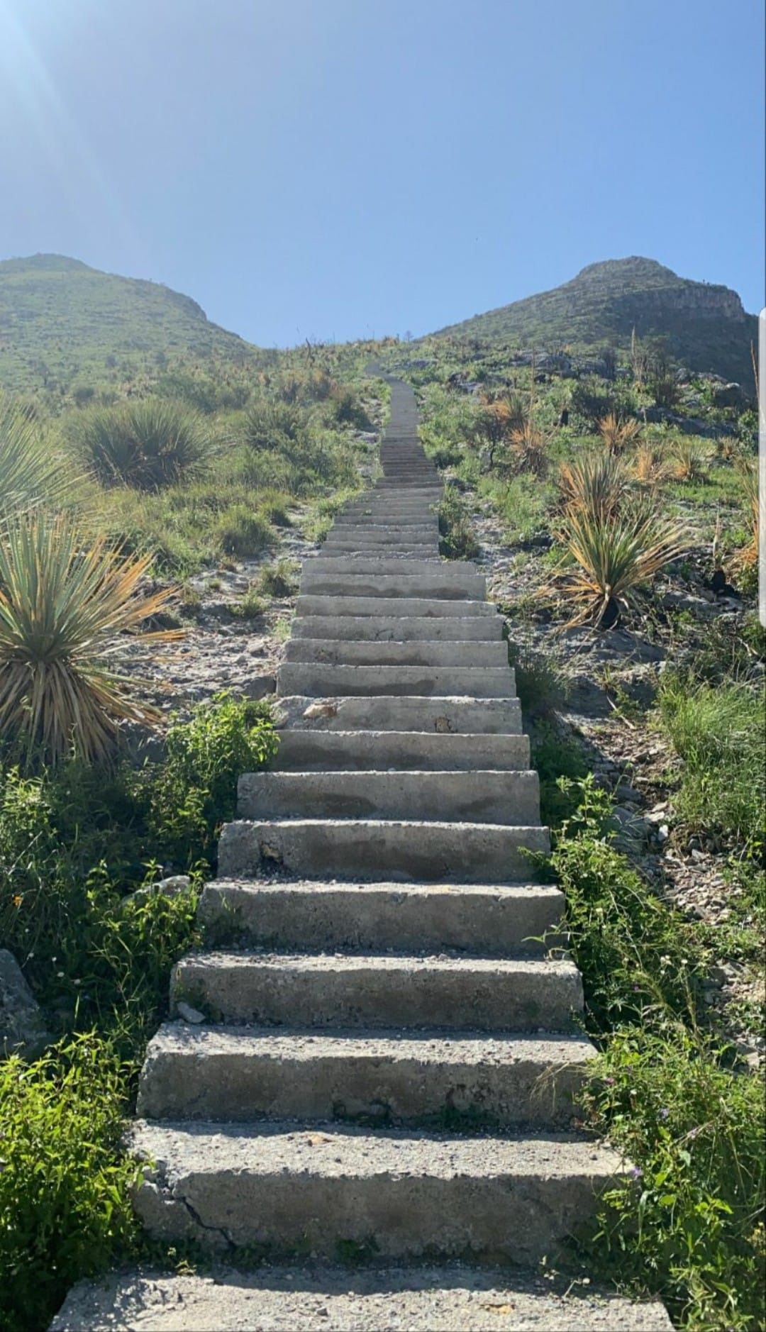 Escaleras al cielo en la Sierra de Zapalinamé / Foto: FB Escalera al Cielo 