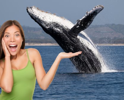 Nayarit tiene un paraíso natural perfecto para ver aves, ballenas y liberar tortugas