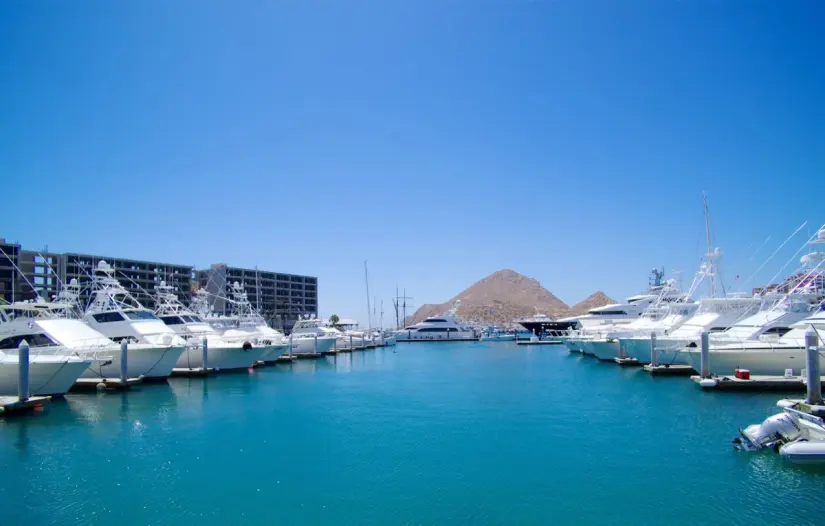Una de las actividades más populares en la región es el avistamiento de ballenas grises, donde los guías certificados acompañan a los turistas para vivir esta experiencia de forma segura y responsable. Foto: Expedia.com