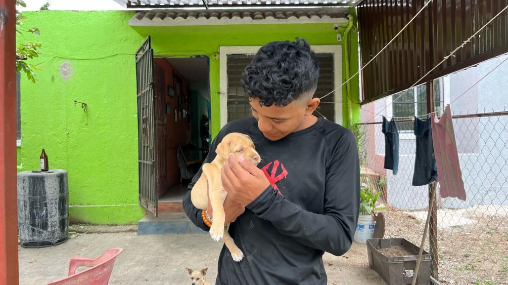 Joven recupera a su cachorro, presuntamente robado en Kanasín