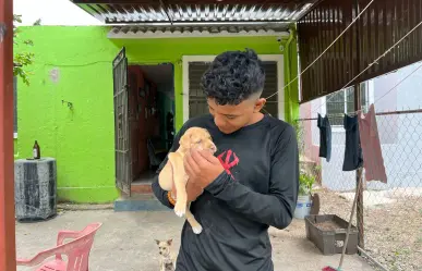 Joven recupera a su cachorro, presuntamente robado en Kanasín