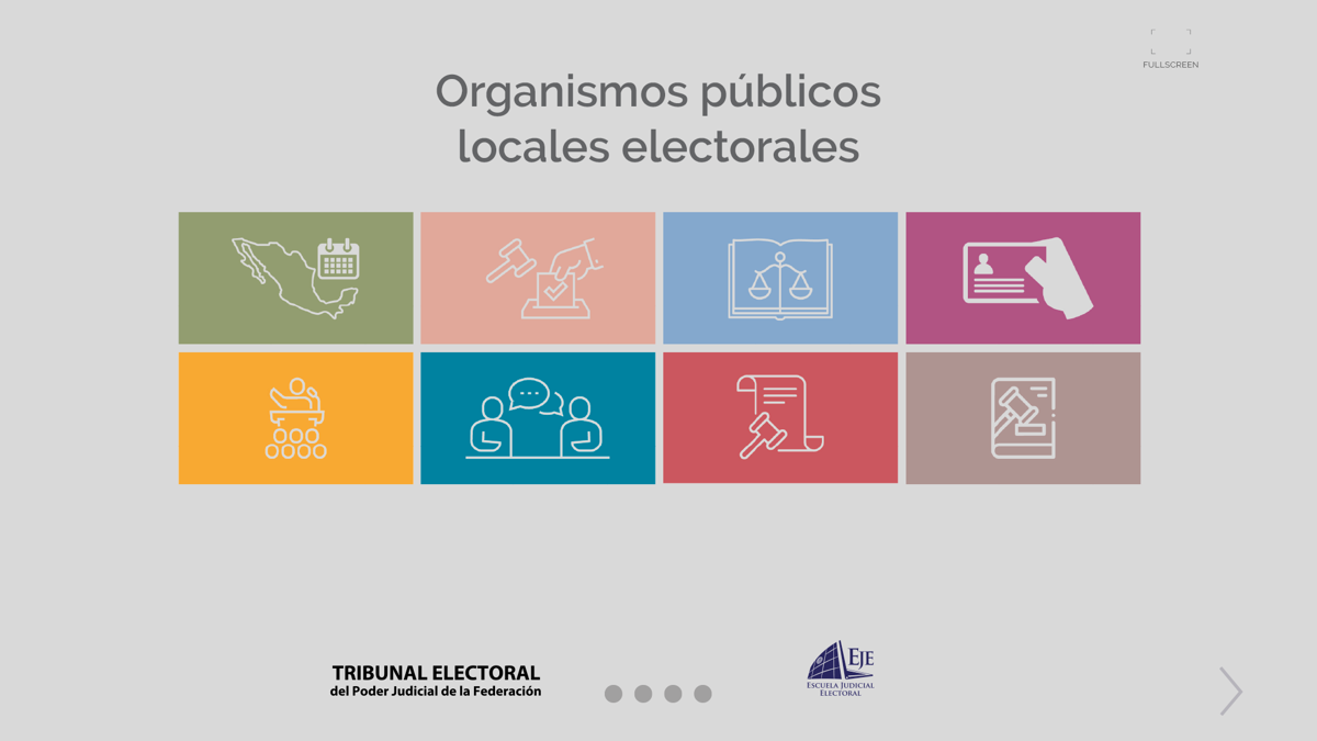 Oples (Organismos Públicos Locales Electorales)