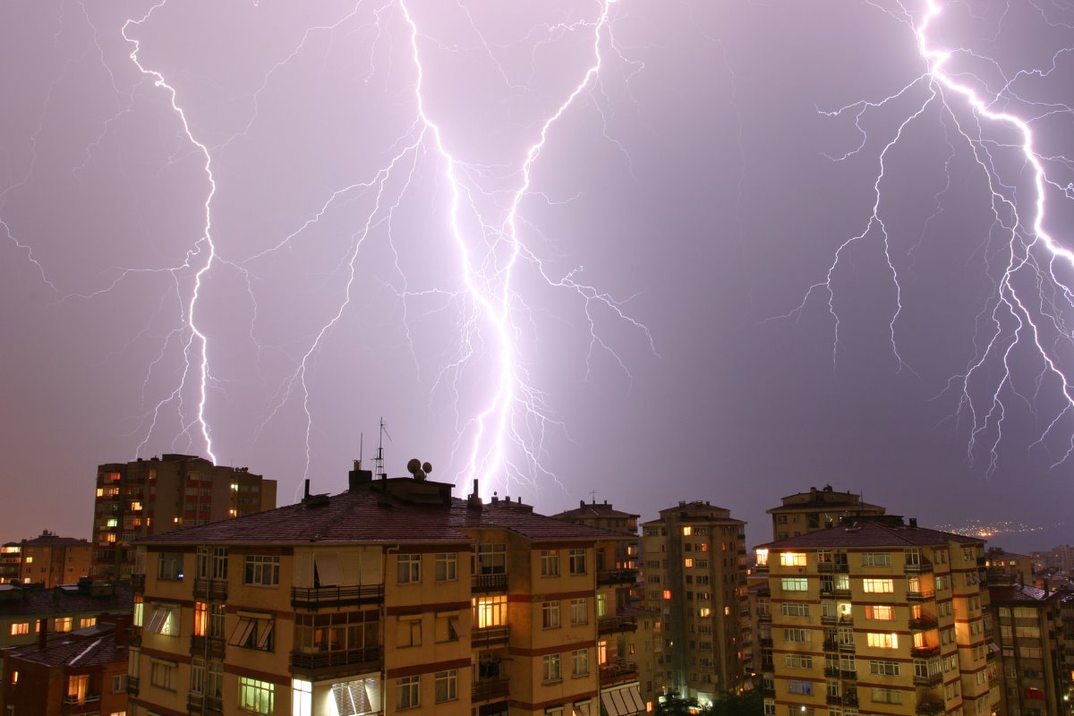 Descubre los electrodomésticos que deberías desconectar durante tormentas eléctricas. Foto: Canva