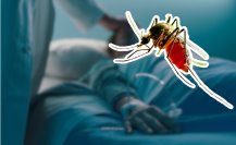 Estos municipios tienen el 80% de casos de dengue en Tamaulipas