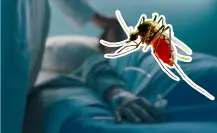 Estos municipios tienen el 80% de casos de dengue en Tamaulipas