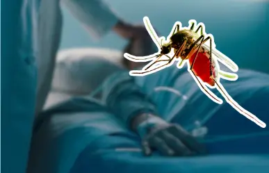 Estos municipios tienen el 80% de casos de dengue en Tamaulipas