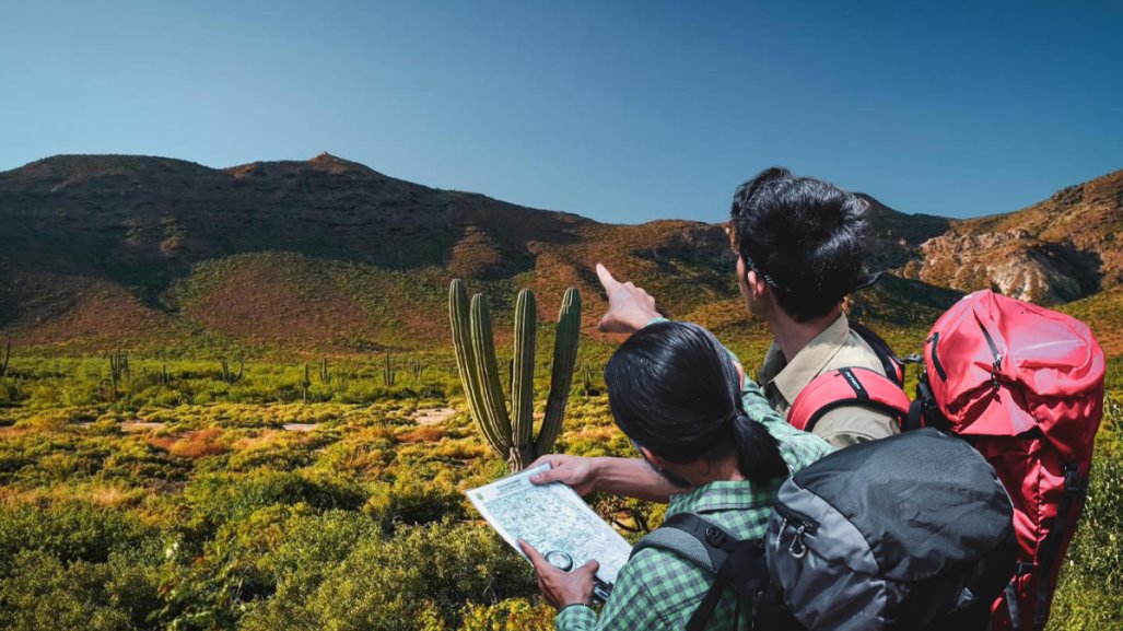 BCS en 7 Días, descubre lo mejor de La Paz y Los Cabos con esta guía turística