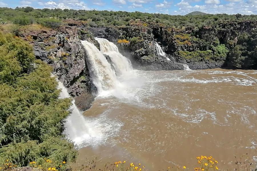 3 lugares cercanos a la carretera Durango - Zacatecas en los que puedes disfrutar un día de campo