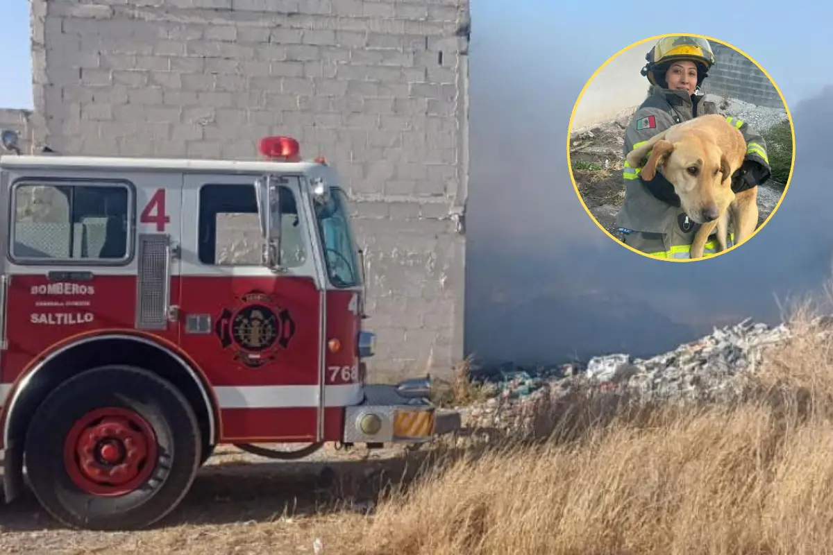La Región Sureste es la más golpeada por los incendios, con más de mil 800 siniestros reportados en lo que va del año./ FB Bomberos Saltillo Coahuila