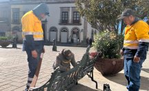 Los trabajos que ya hacen en la Plaza de Armas de Durango para reparar sus daños