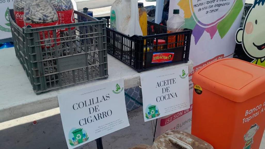 Asociaciones Ambientalistas y Gobierno realizan campaña de reciclaje en Los Cabos