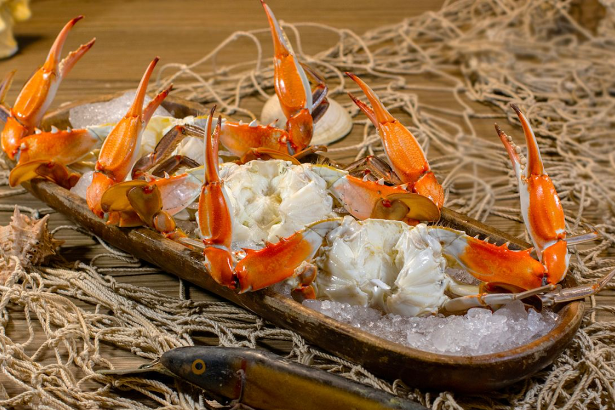 Mariscos del Golfo de México en Tampico. Foto: Axel Hassel