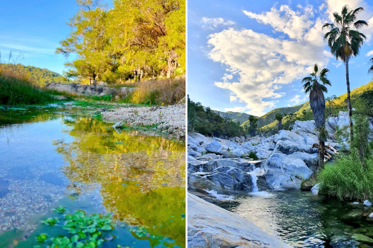 Sierra de la Laguna. Foto: Explora tu baja / X | @rodaxiando / X