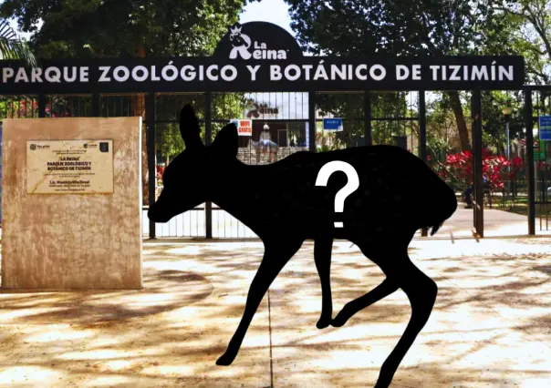 Zoológico La Reina en Tizimín tiene nuevos inquilinos, ¡descubre de quiénes se trata!