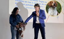 Aguas de Saltillo utilizará perrito entrenado para localizar fugas