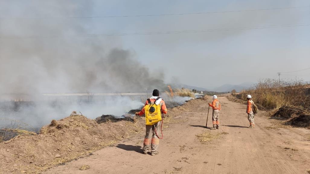 Onda de calor activa alerta contra incendios en Chiapas