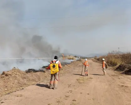 Onda de calor activa alerta contra incendios en Chiapas