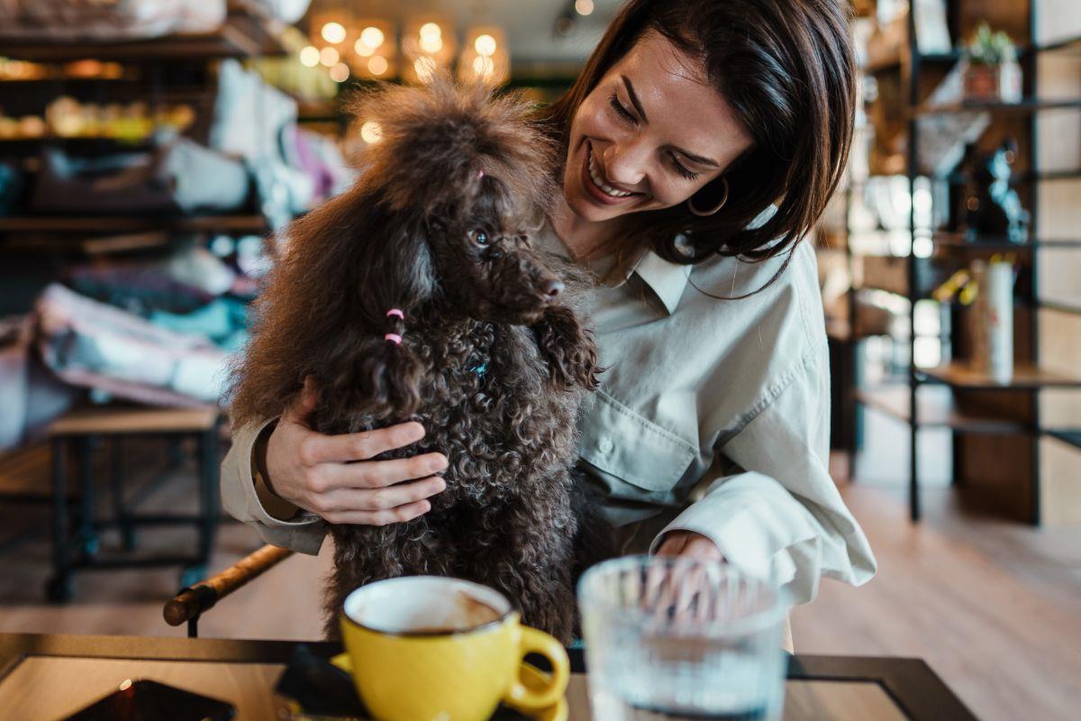 Descubre las mejores cafeterías pet friendly en Monterrey Foto: Canva