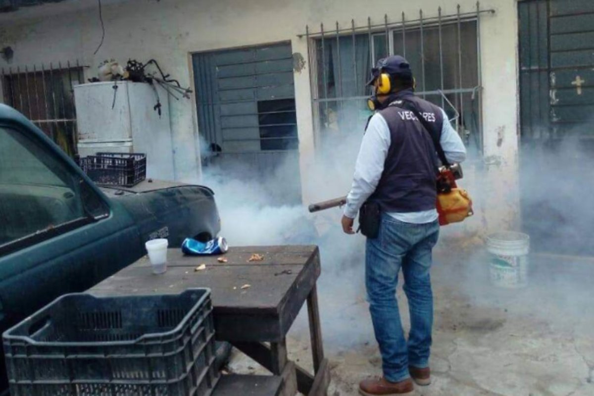 En los últimos meses, el estado de Tamaulipas ha experimentado un preocupante incremento en los casos de dengue. Foto: Redes Sociales