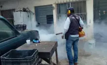 ¡Alerta en Tamaulipas! Casos de dengue se disparan un 585%