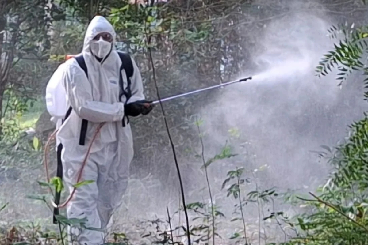 Personal fumigando. Foto: Redes Sociales