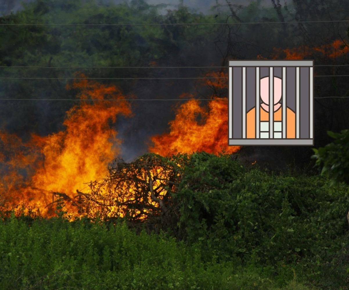 Las sanciones pueden ir desde lo económico hasta ir a prisión por provocar un incendio forestal. Foto: Canva.