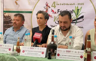 Vainilla en peligro, productores de Veracruz enfrentan robo de esquejes y competencia desleal