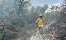 Incendio en el río Sabinas arrasa con sabinos milenarios