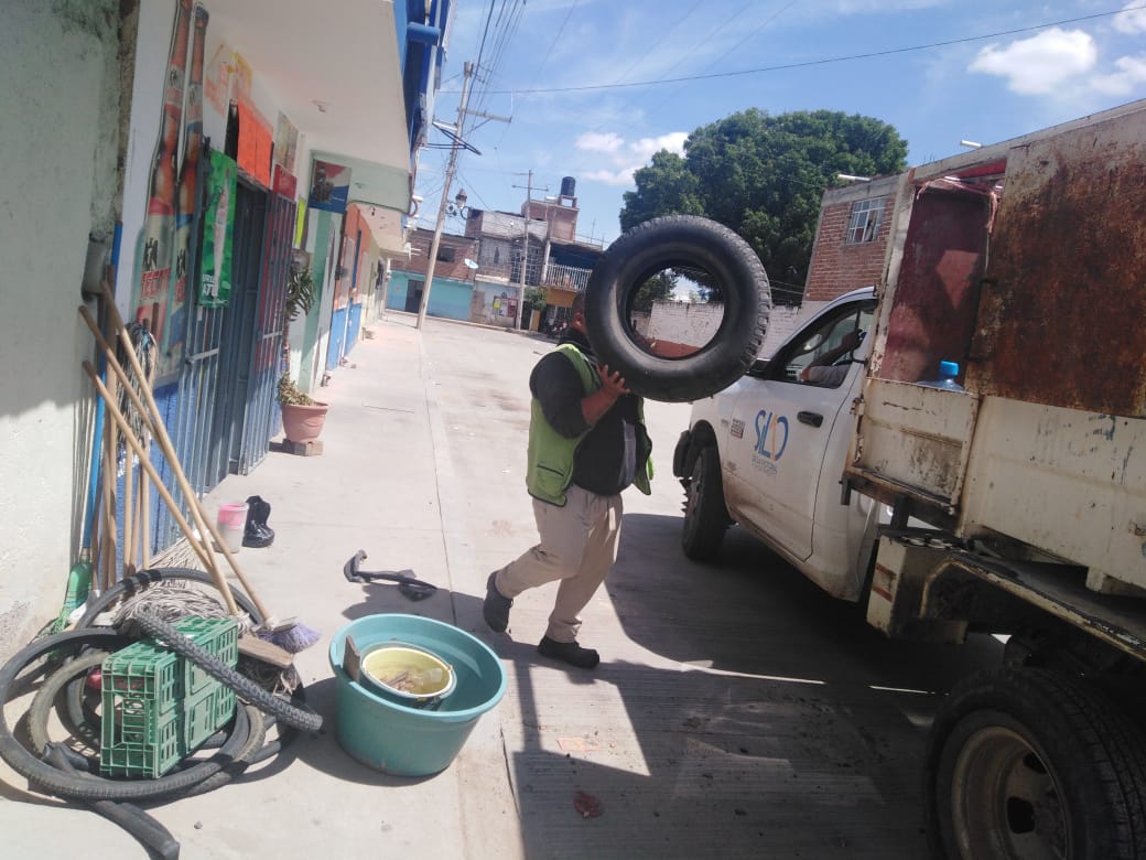 Fumigaciones y descacharrización, acciones clave. Foto: Redes Sociales