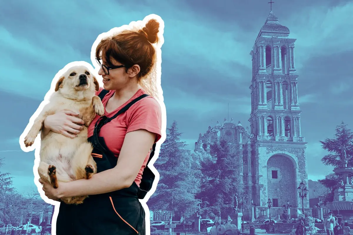 Llegara feria de adopción de perritos en Saltillo / Foto: Archivo POSTA | Canva