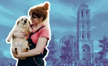 Feria de adopción de perros y gatos en Saltillo, ¿cuándo y a dónde acudir? 